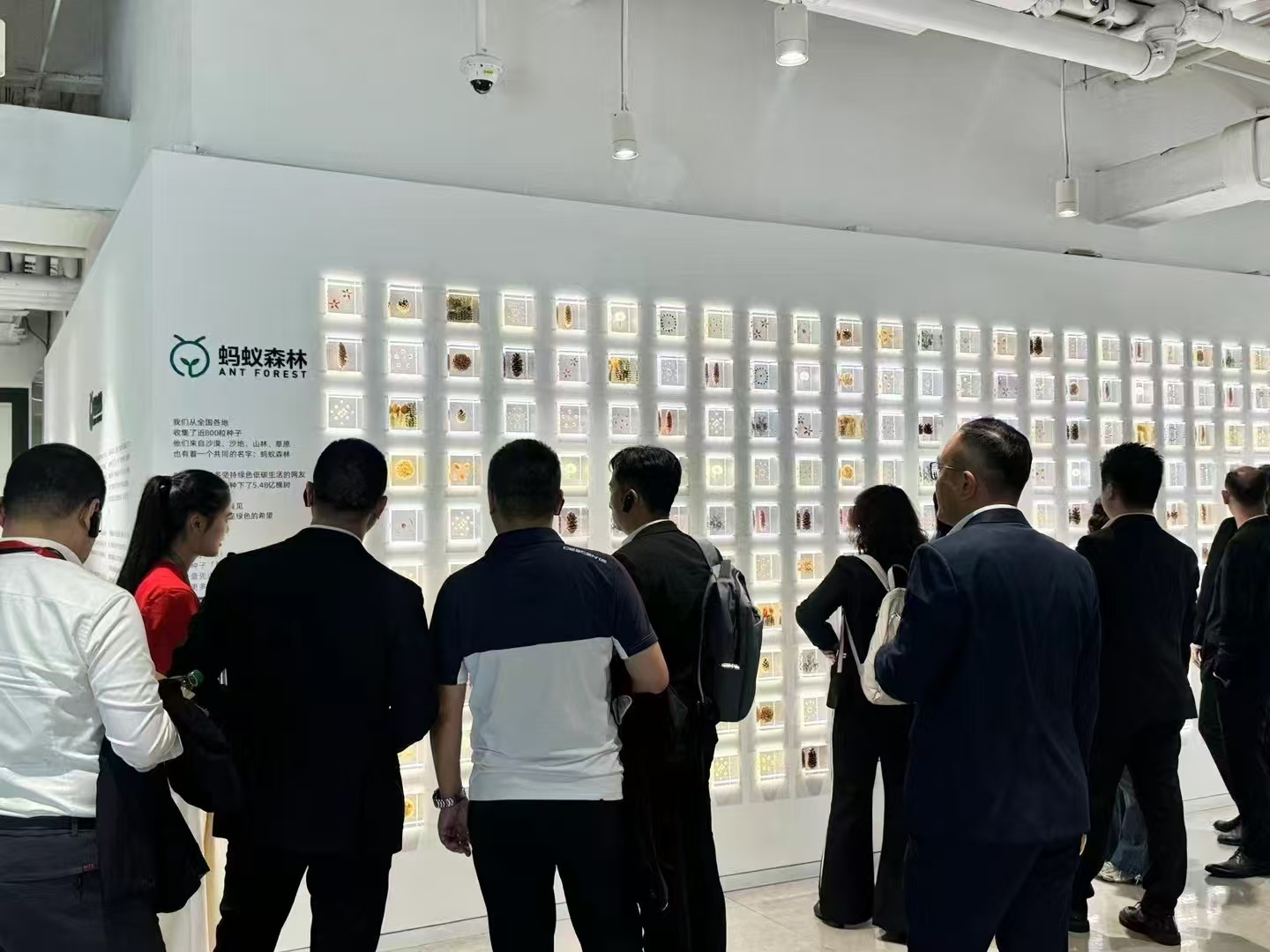 蚂蚁集团展厅参访实景